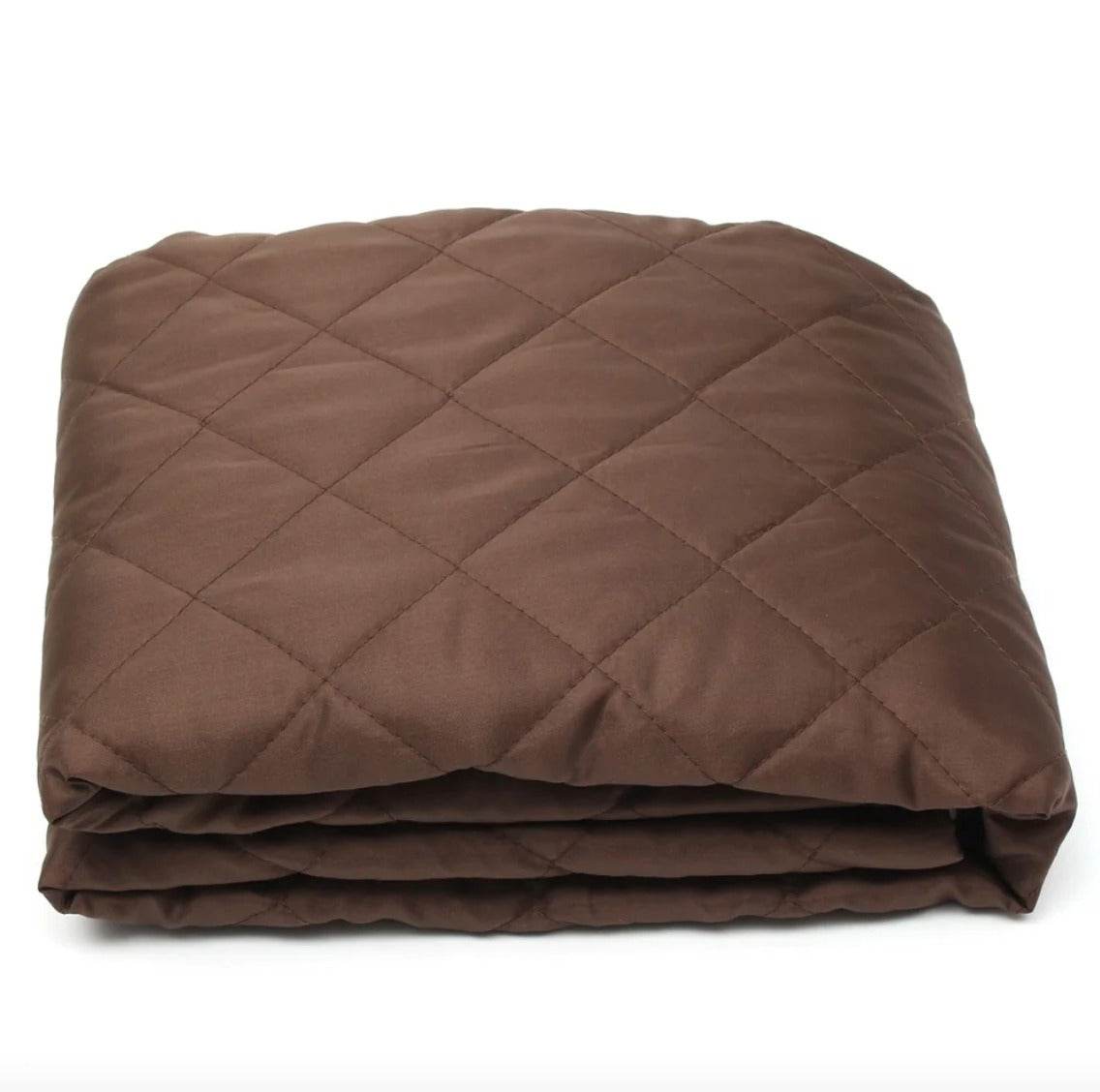 Protective Couch Cover (3 Seater)