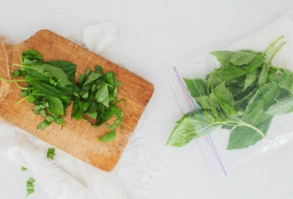 Small Zipper Seal Sandwich Freezer Bags (50 pcs)