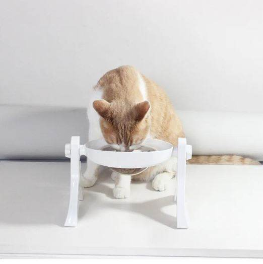 Multipurpose Pets Bowl