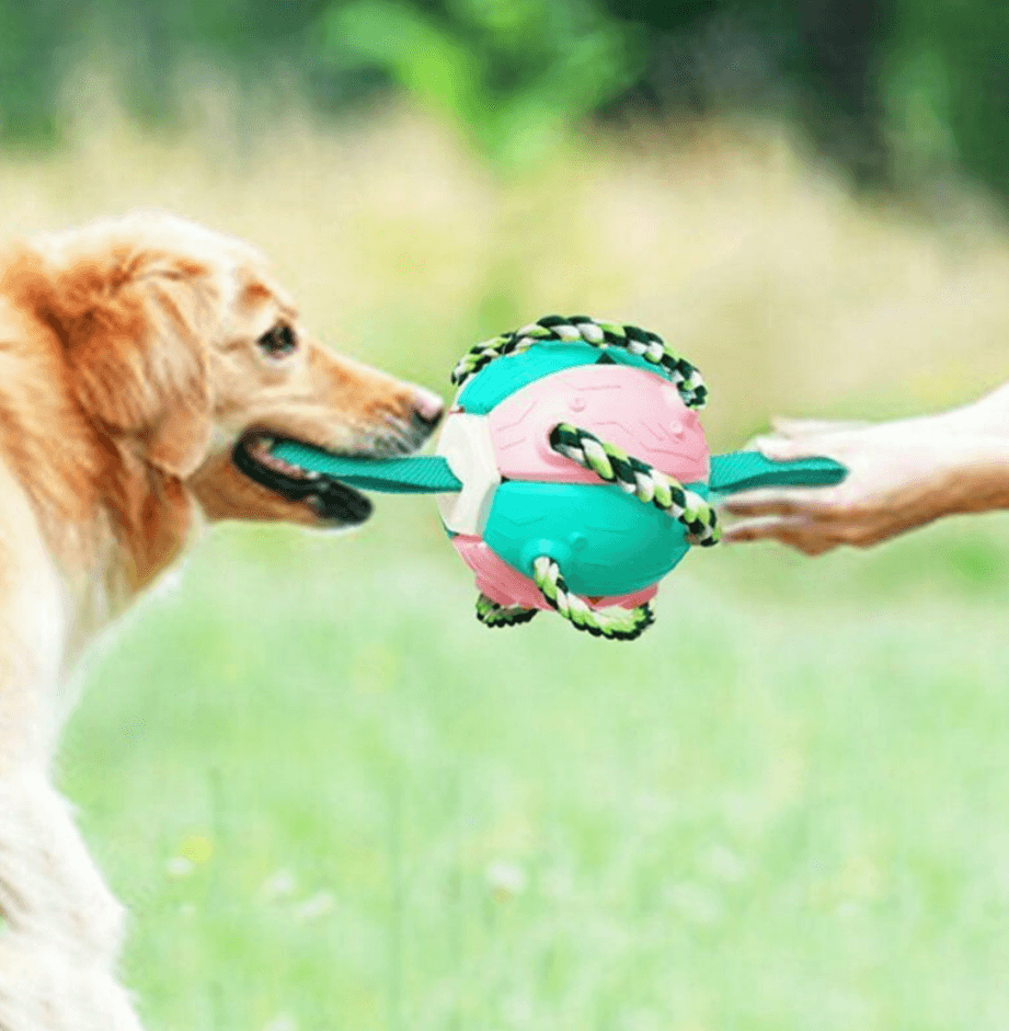 Dog Chew Flying Rebound Training Ball