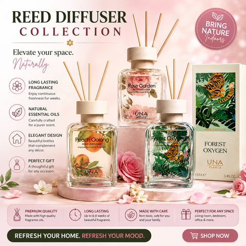 Reed Diffuser Collection