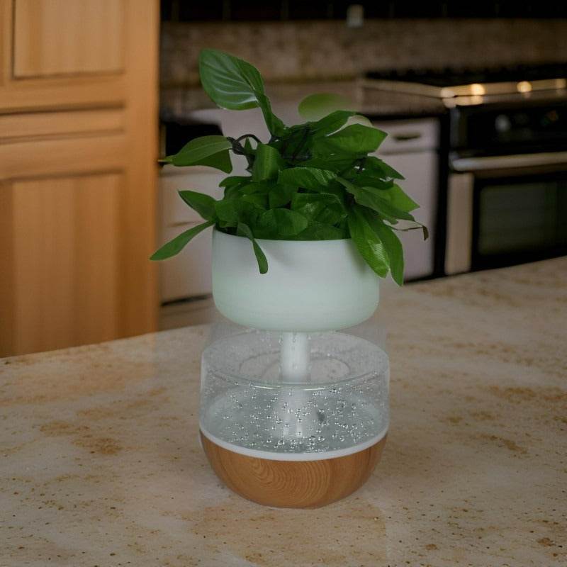 Rain Cloud Plant Humidifier