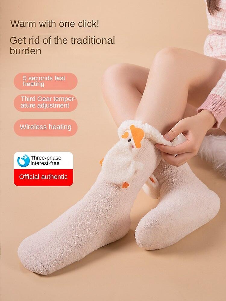 Rechargeable Heating Electric Socks