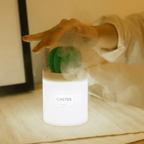 USB Cactus Humidifier (280ml)