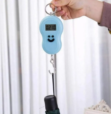 Electronic Backlight LCD Display  Digital Fishing Hanging Hook Scale