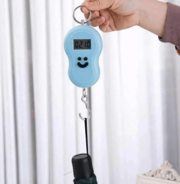 Digital Fishing Hanging Hook Scale