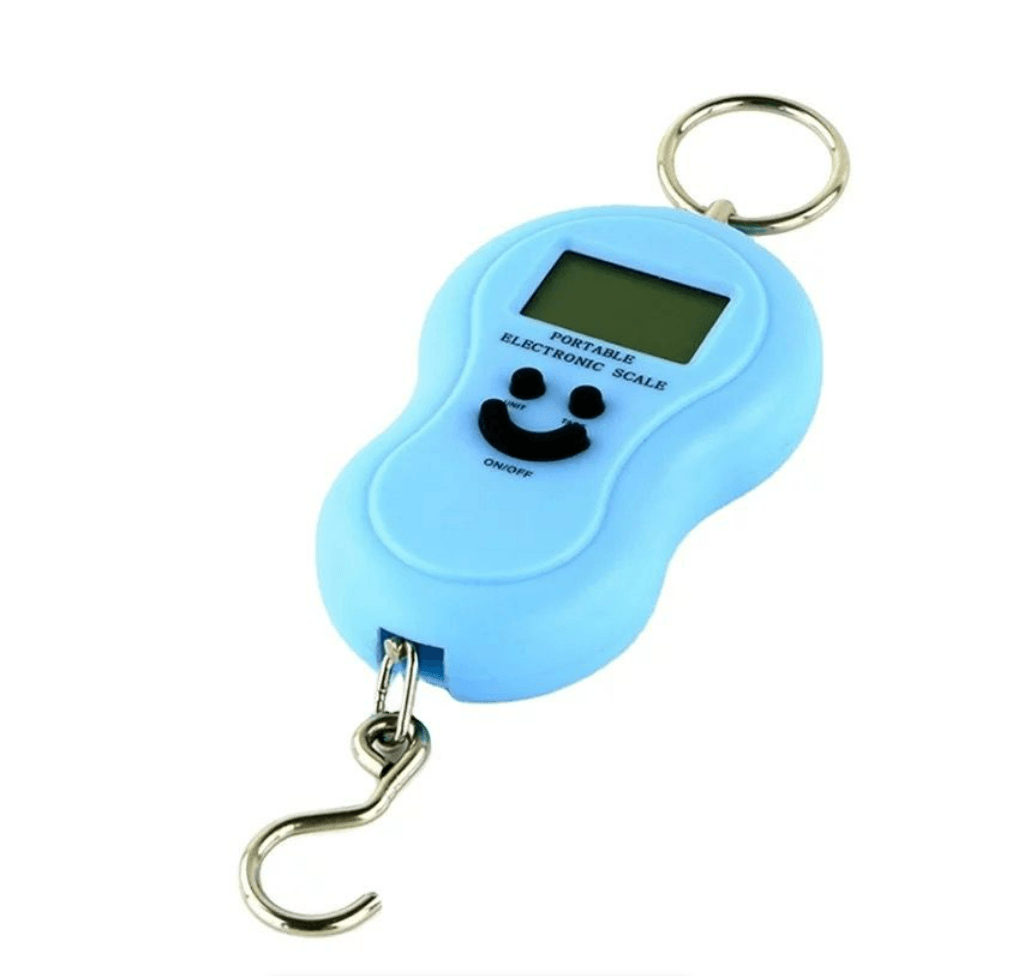 Digital Fishing Hanging Hook Scale