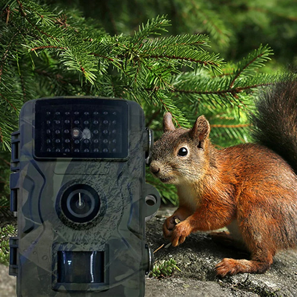 Infrared Night Vision Hunting Trail Camera (12MP)