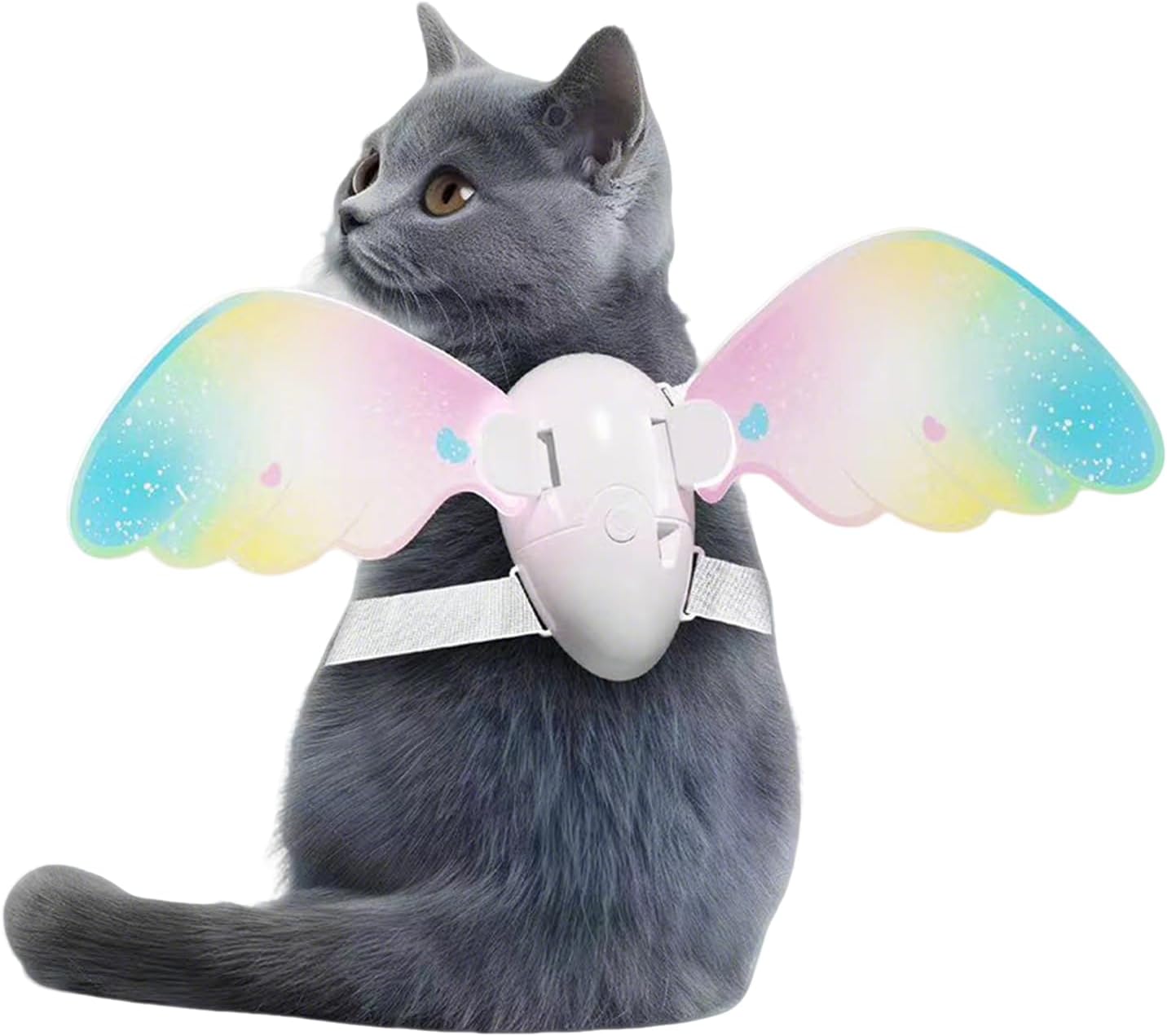 Adorable Pet Fairy Wings Attire