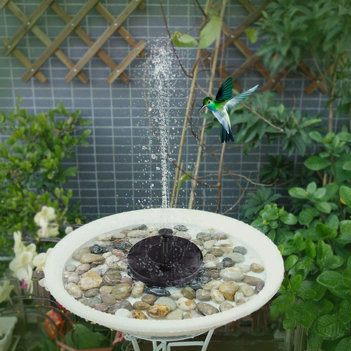 Solar Powered Fountain Pond Pump