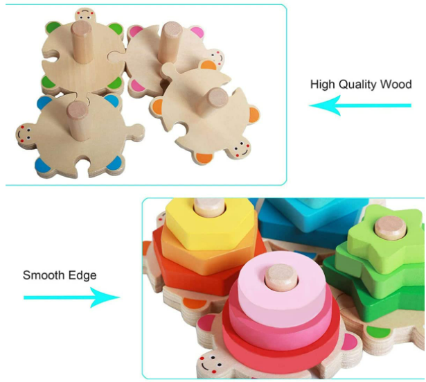 Turtle Shape Sorter Toy