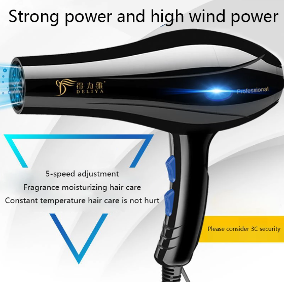 Professional Hair Dryer