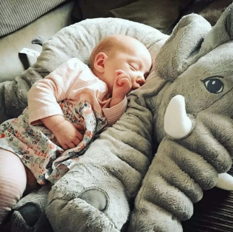 Elephant Soft Huggable Plush Toy