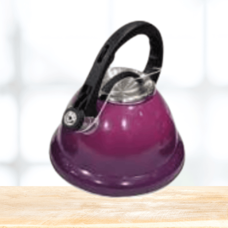 Two Tone Whistling Kettle (3L)