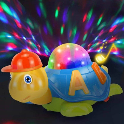Magic Musical Tortoise - DMC Wholesale