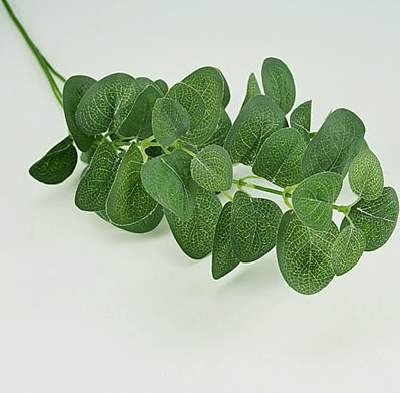 Fragranced Essential Oils (Cherry Blossom)(10ml)