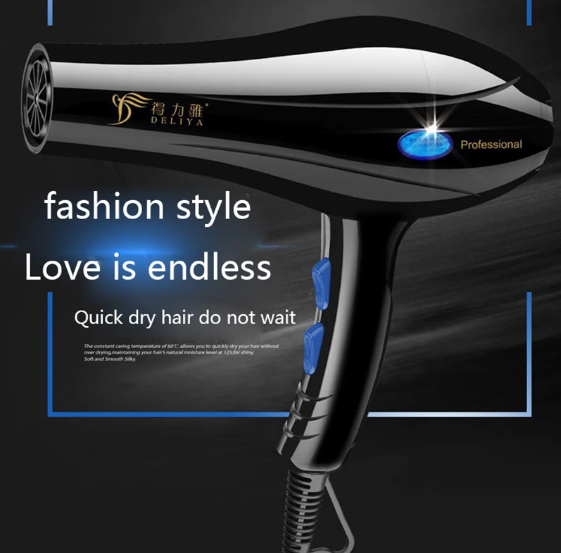 Professional Hair Dryer