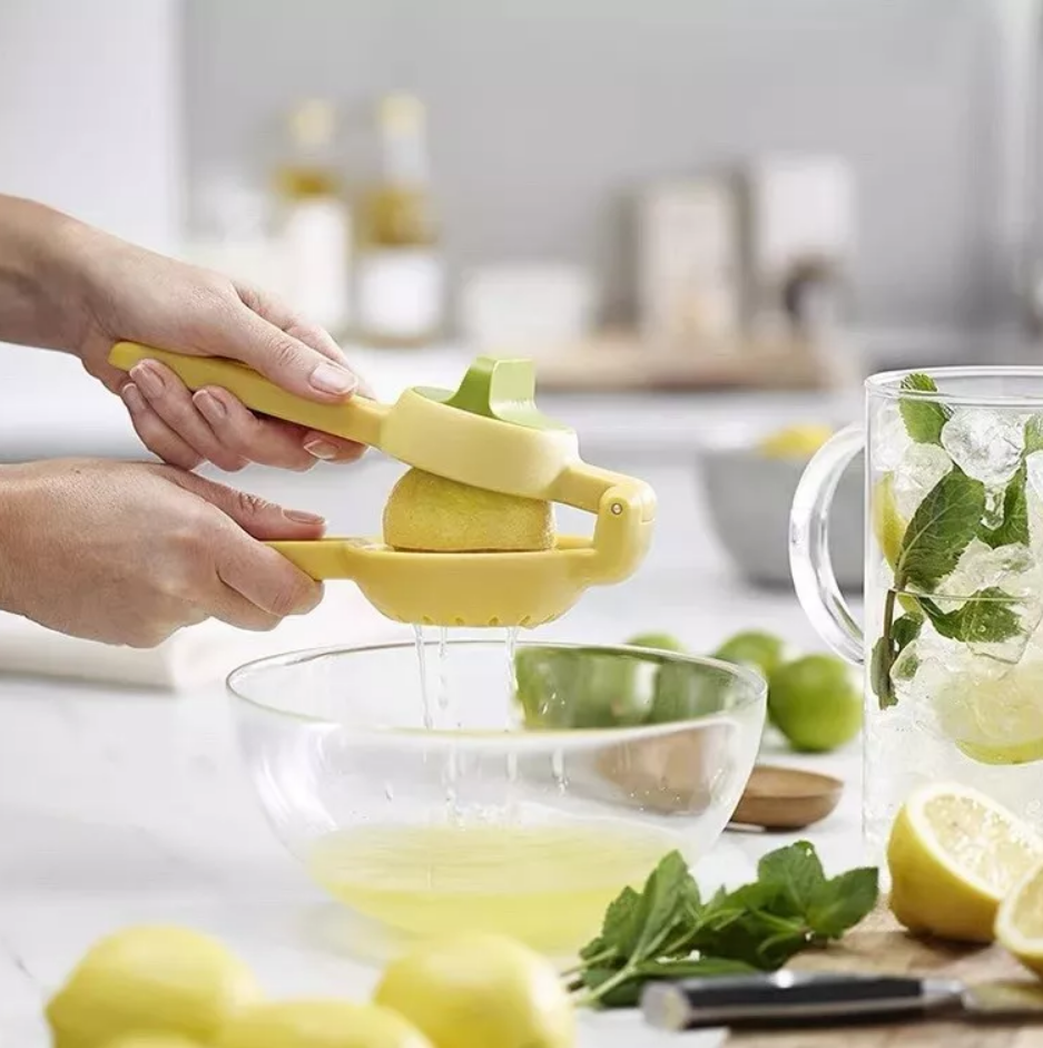 Dual Action Citrus Press