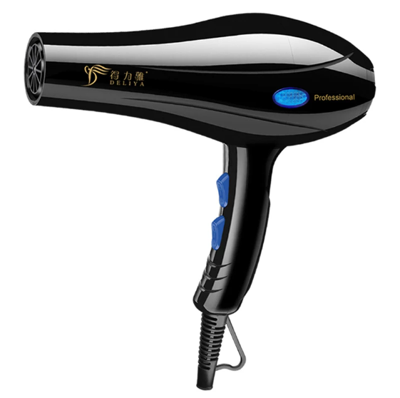 Professional Hair Dryer