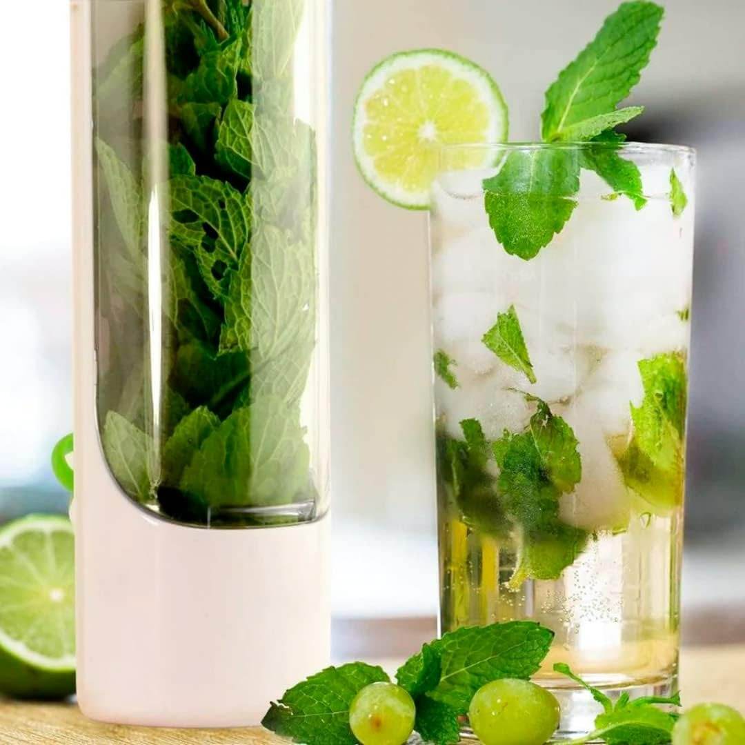 Fresh Herb Storage Saver