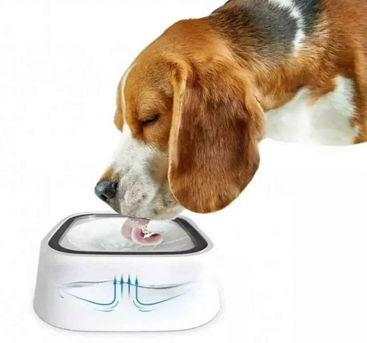 Splash Free Pet Water Bowl