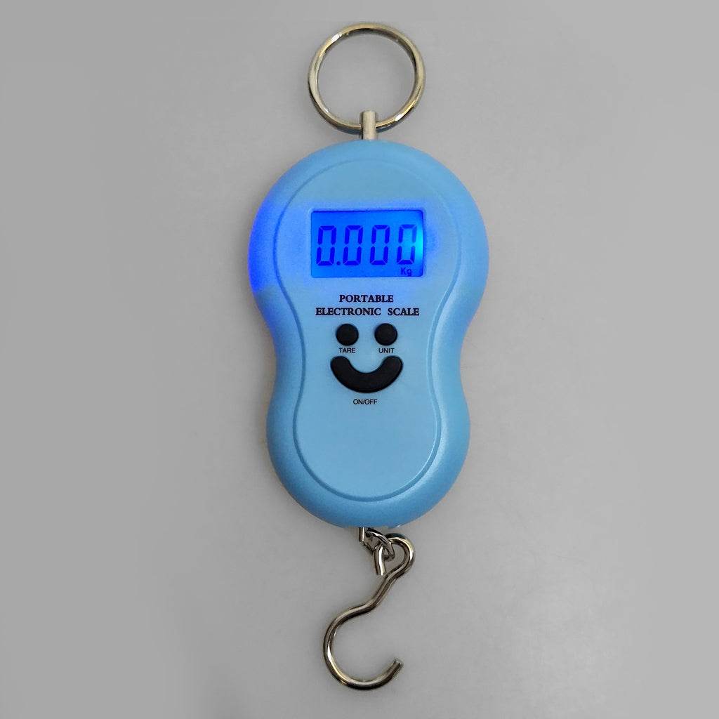 Digital Fishing Hanging Hook Scale