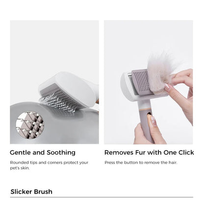 Pet Hair Remover Set
