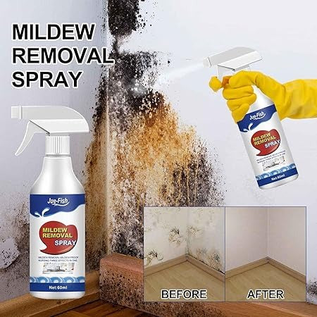 Wall Mildews Remover (60ml)