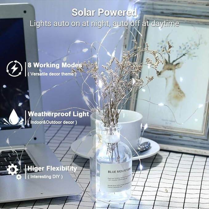 Solar String Light (7m)(Each)