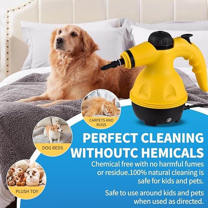 Portable Handheld Steam Cleaner