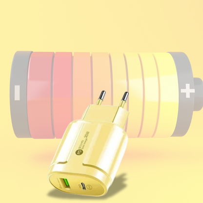 Dual Port Fast Charger (USB & Type-C)