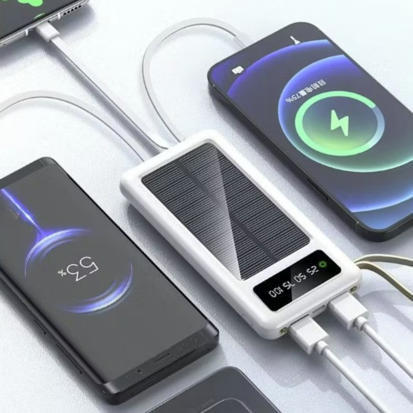 Multi Adapter Solar Powerbank (8000mAh)