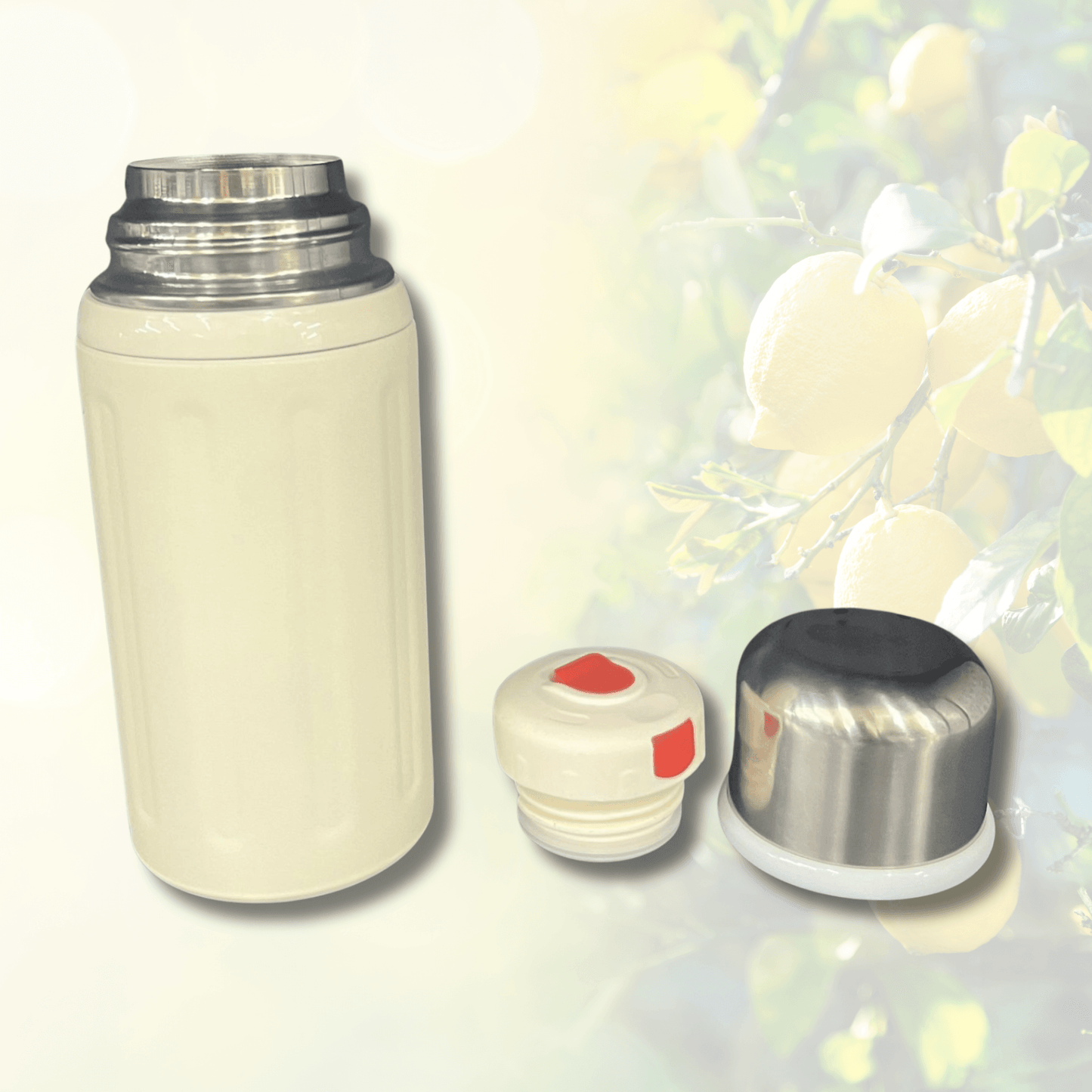 Wide-Mouth Thermal Insulated Flask