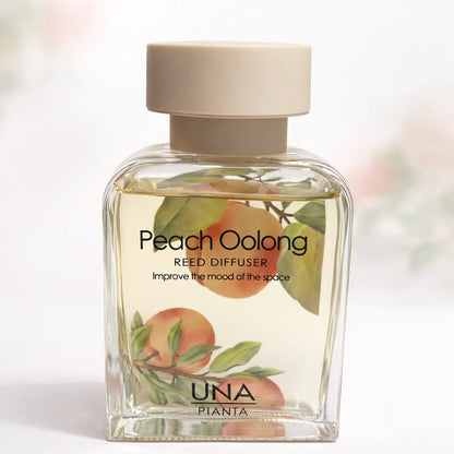 Reed Diffuser Collection