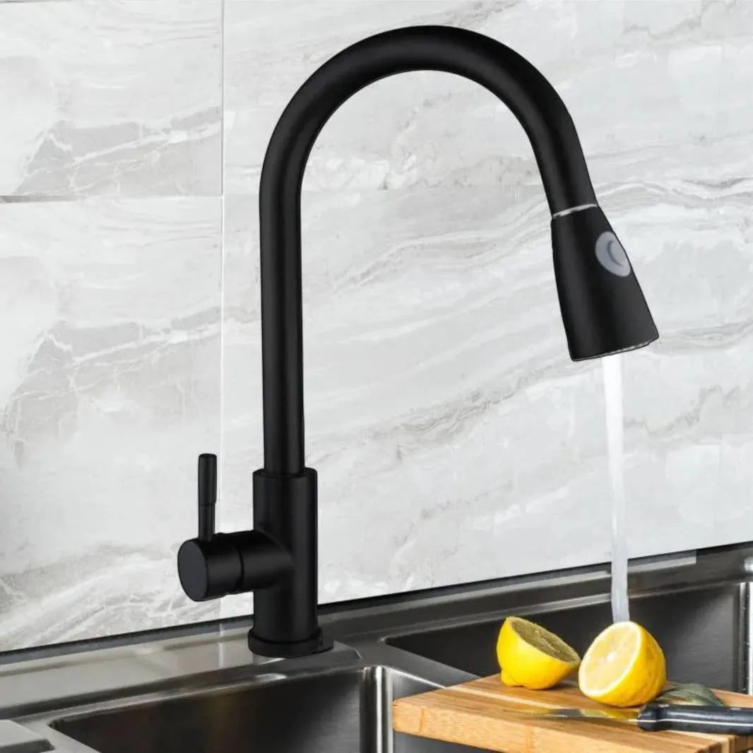 Matte Pull Down Kitchen Faucet