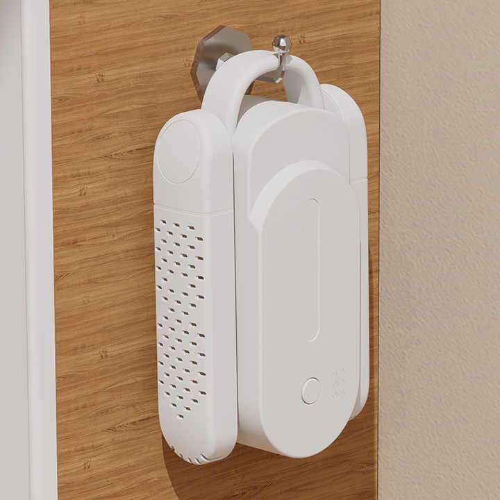 Multifunctional Shoe Dryer