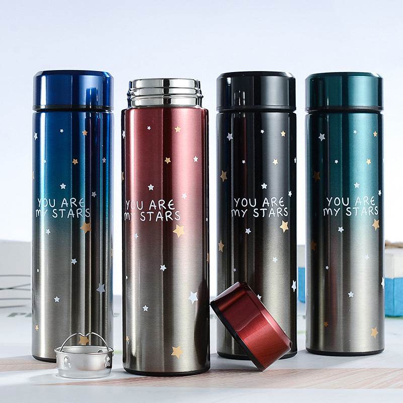 Vacuum Flask With Temperature Display (Stars)(500ml)