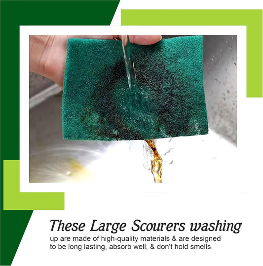 Durable Scouring Pad Set (10 pcs)