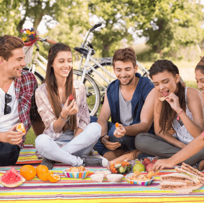 Colourful Folding Picnic Blanket - DMC Wholesale