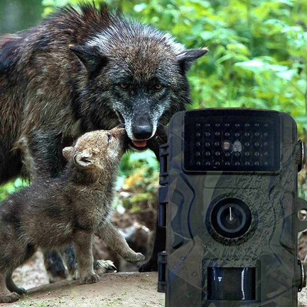 Infrared Night Vision Hunting Trail Camera (12MP)