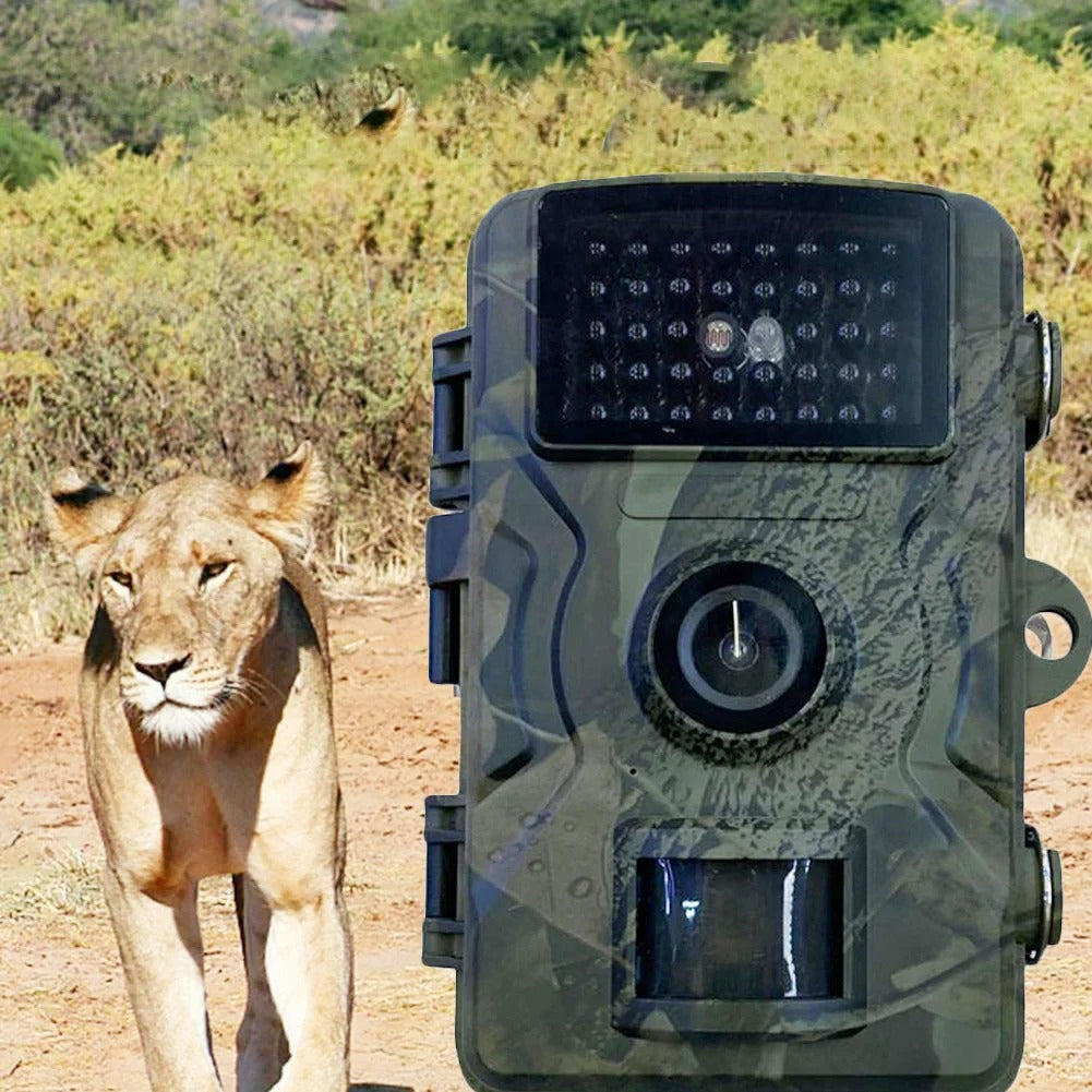 Infrared Night Vision Hunting Trail Camera (12MP)