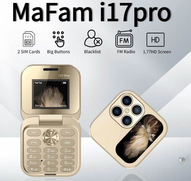 Mini Dual SIM 2G Flip Phone