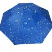 Beach Umbrella (Raindrops)