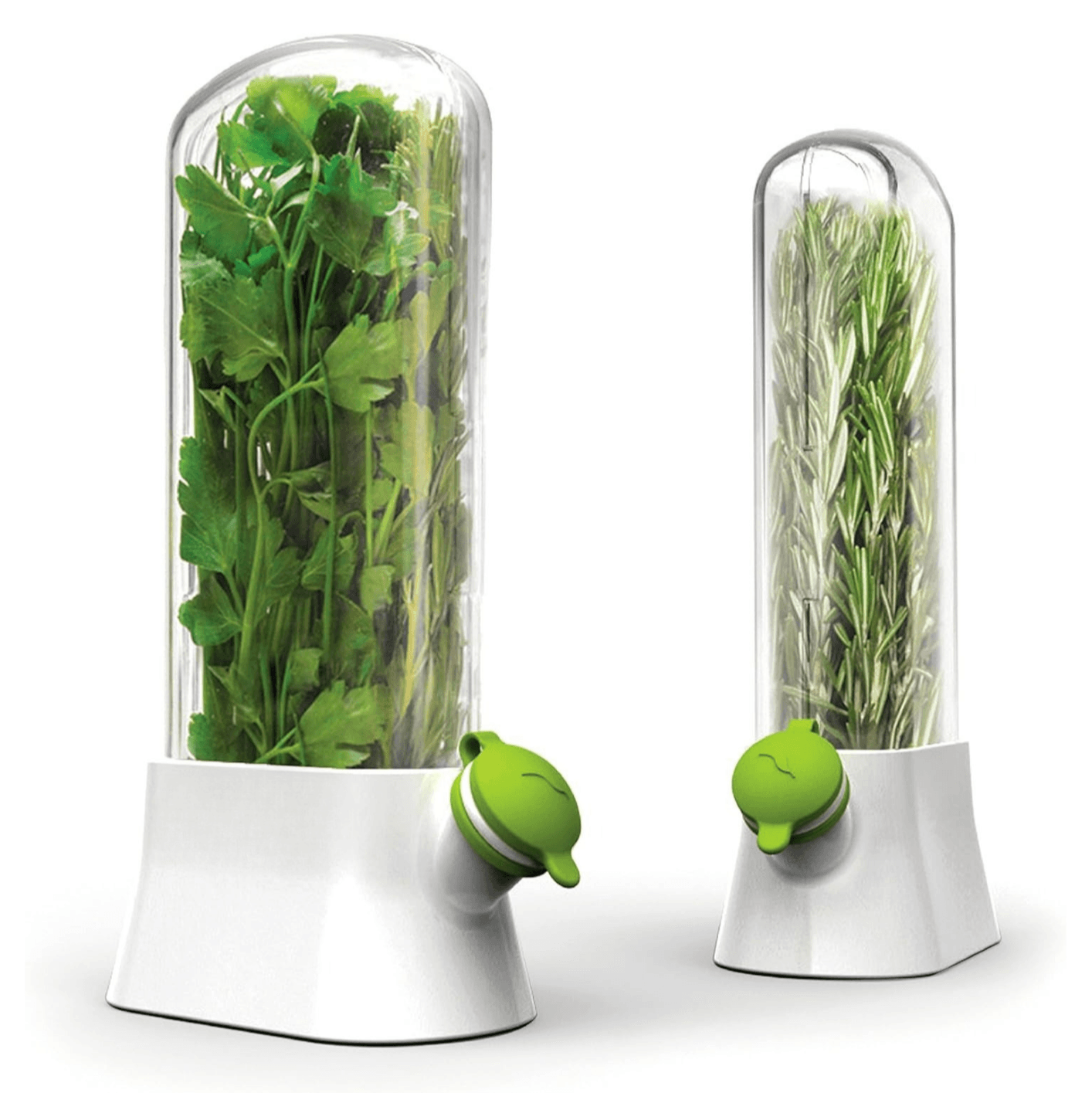 Fresh Herb Storage Saver (Large)
