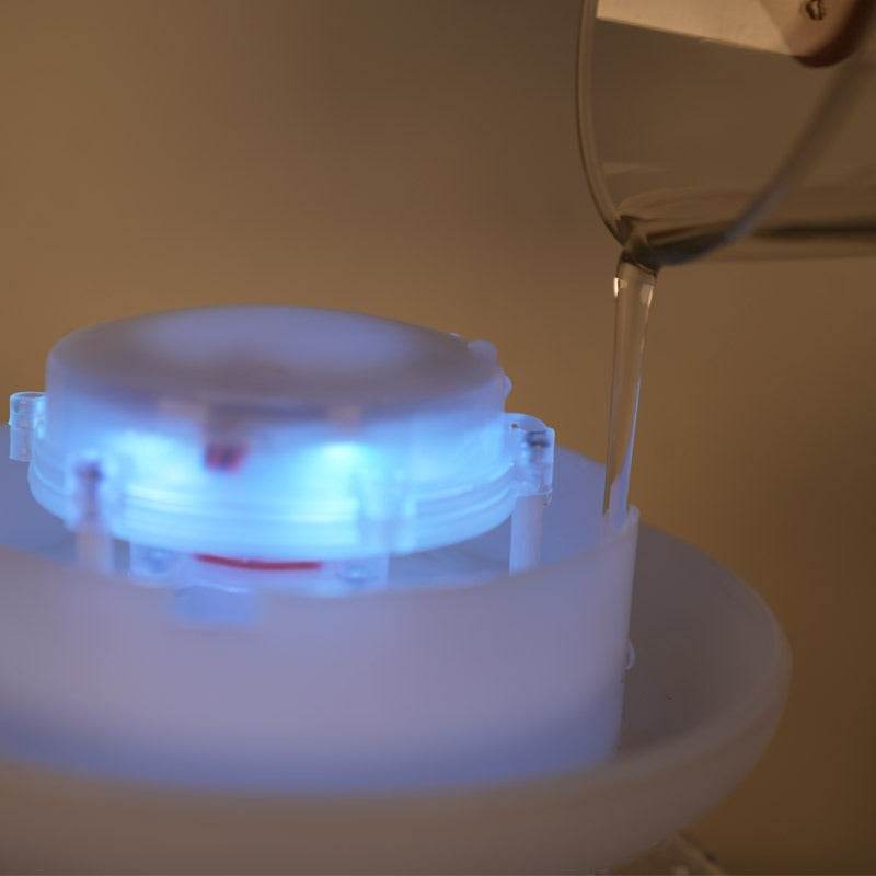 Rain Cloud Plant Humidifier