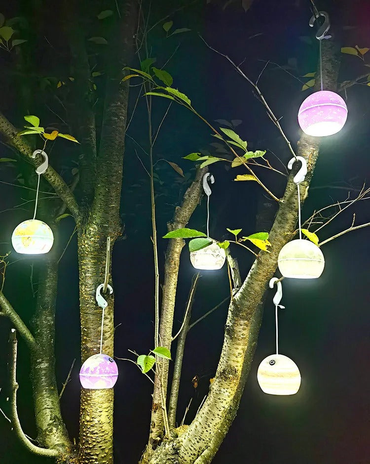 Creative Planet Outdoor Lamp (each)