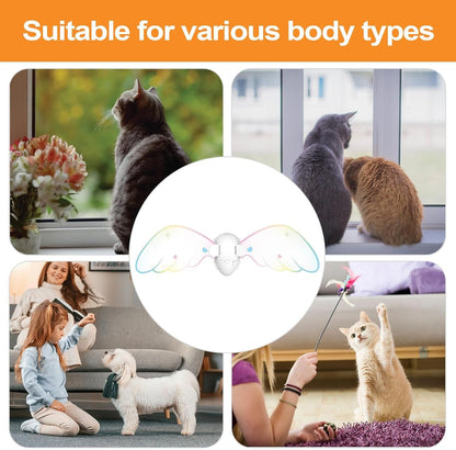 Adorable Pet Fairy Wings Attire