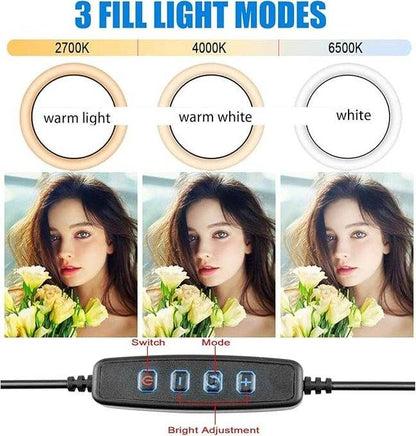 Modern 10 Inch LED Dimmable Selfie Ring Light (without stand) - DMC Wholesale