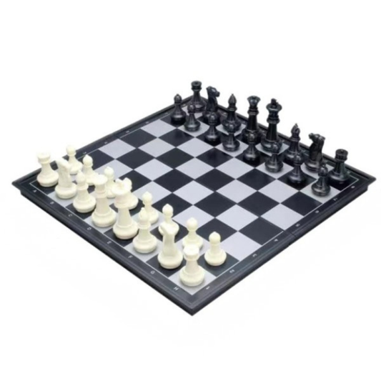 2in1 Magnetic Chess And Checkers Set (19cm)