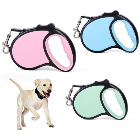 Retractable Dog Leash With Anti-Slip Handle (3ml) - Alt View